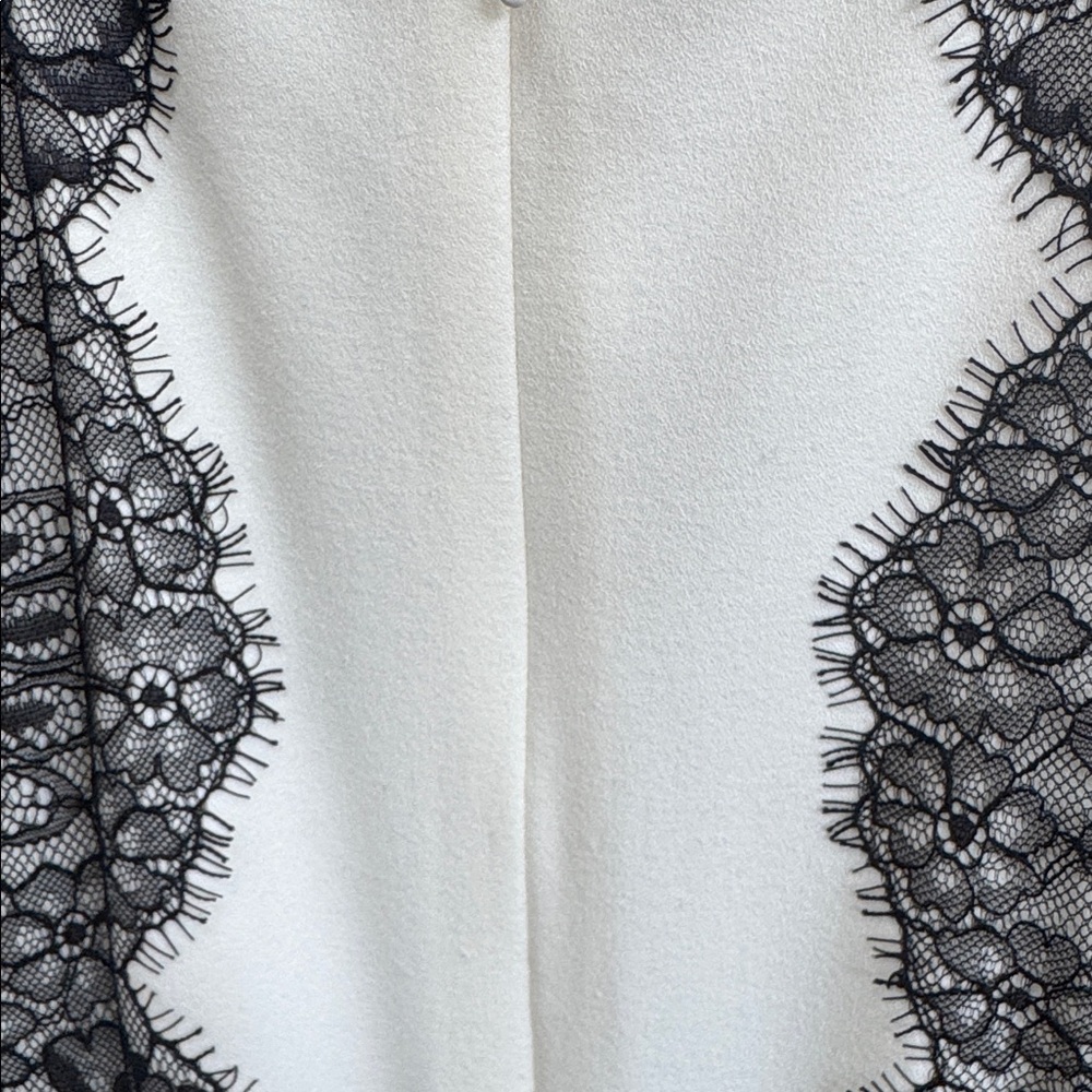 BCBGMaxAzria Ivory Dress with Black Lace Overlay - Picture 6 of 9